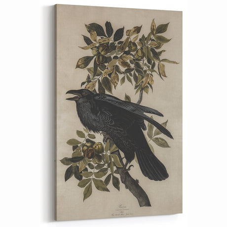 Grunge Wall Art - Vintage Raven Print on Stretched Canvas or Acrylic Glass