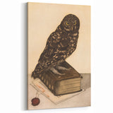Vintage Grunge Art - Owl Canvas Print for Modern Grunge Aesthetic