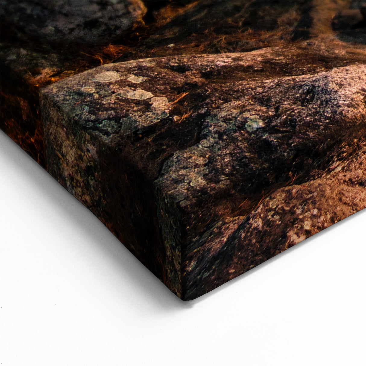 Minnesota Sunset Lake and Pines - Framed and Canvas Wall Art for Decor