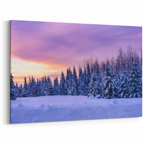 Minnesota Winter Wonderland - Framed and Canvas Wall Art for Home Decor