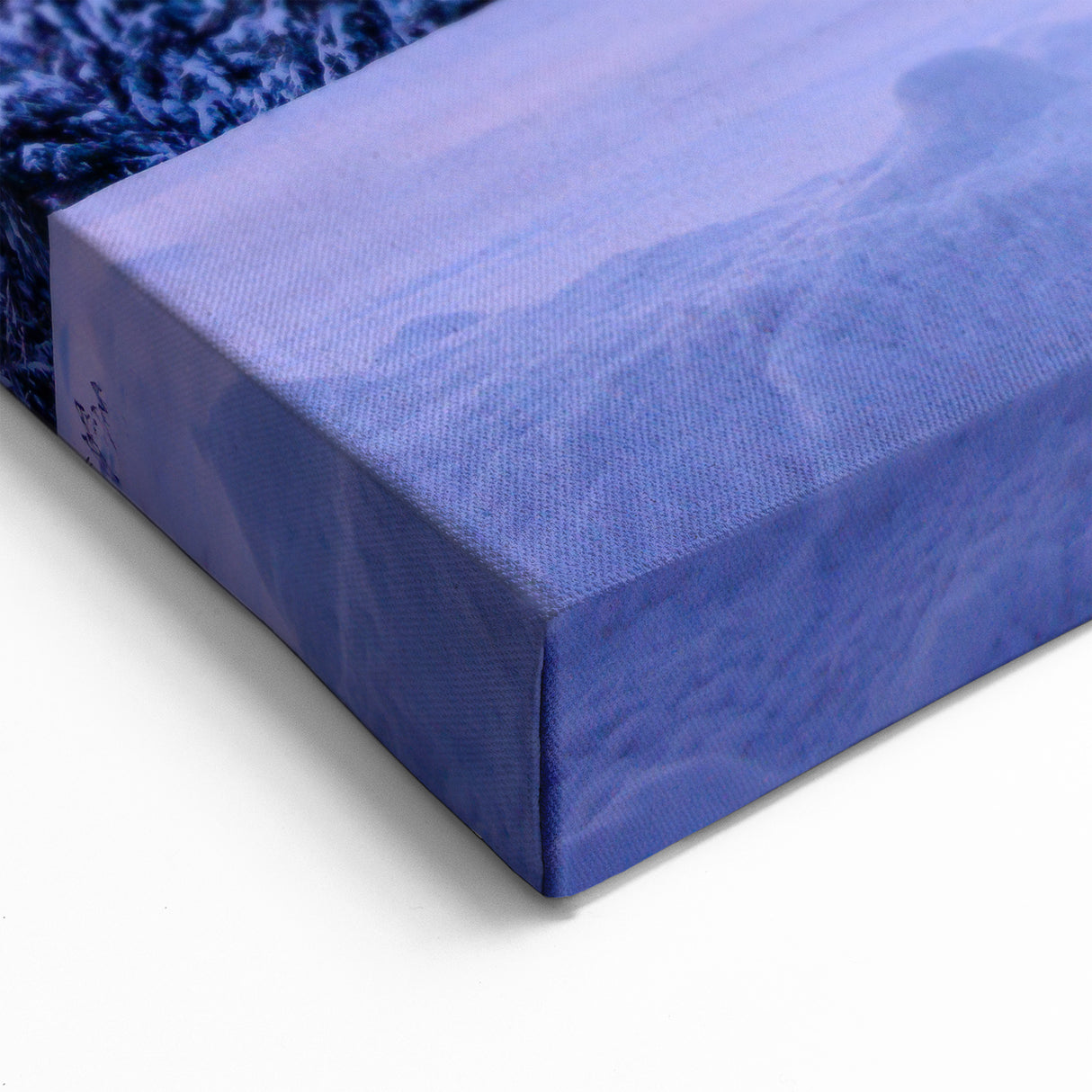 Minnesota Winter Wonderland - Framed and Canvas Wall Art for Home Decor