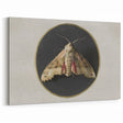 Grunge Aesthetic Art - Moth Canvas Print for Urban Grunge Decor