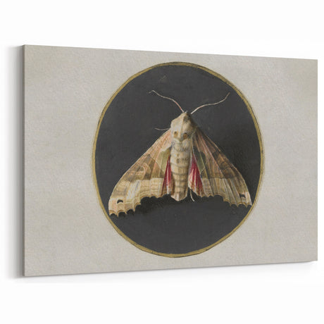 Grunge Aesthetic Art - Moth Canvas Print for Urban Grunge Decor