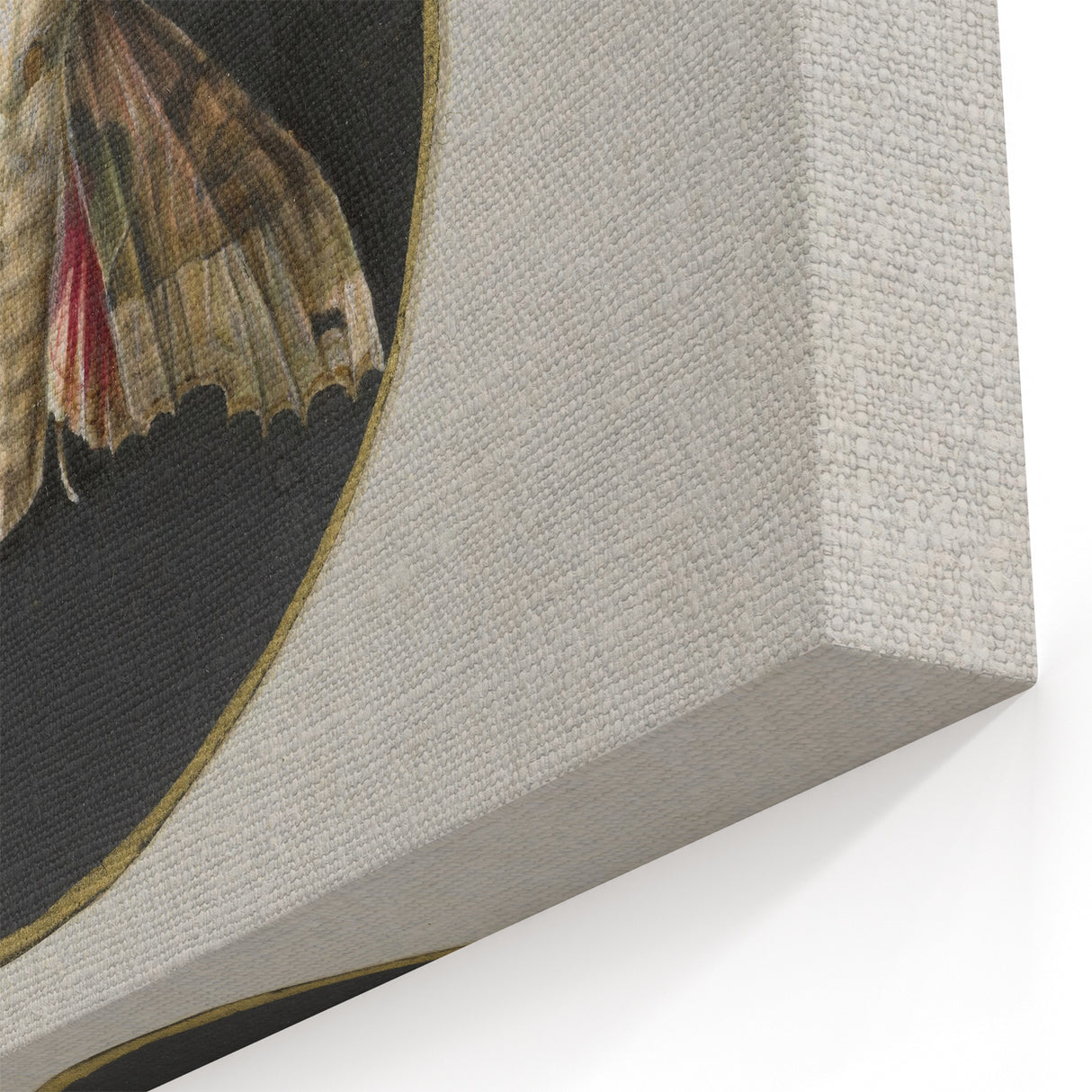Grunge Aesthetic Art - Moth Canvas Print for Urban Grunge Decor