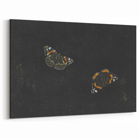 Urban Grunge Art - Butterfly Canvas Print for Modern Wall Decor