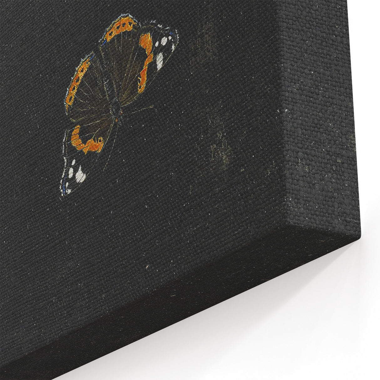 Urban Grunge Art - Butterfly Canvas Print for Modern Wall Decor