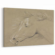Grunge Aesthetic Art - Horse Sketch Canvas for Modern Decor Style