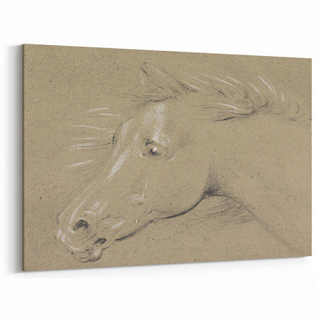 Grunge Aesthetic Art - Horse Sketch Canvas for Modern Decor Style