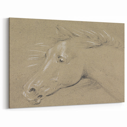 Grunge Aesthetic Art - Horse Sketch Canvas for Modern Decor Style