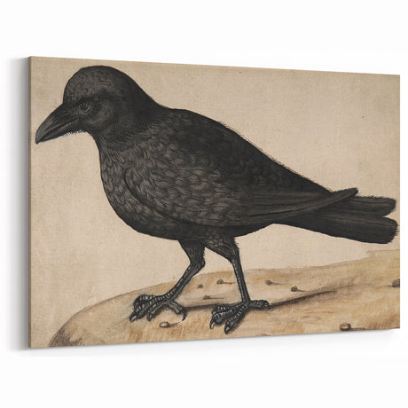 Grunge Wall Art - Crow Canvas Print for Dark Vintage Aesthetic Decor