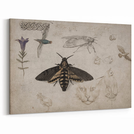 Vintage Grunge Art - Eclectic Animal Sketch Canvas for Modern Decor