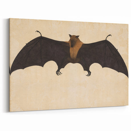 Grunge Bat Art Print - Vintage Animal Canvas - Dark Gothic Decor