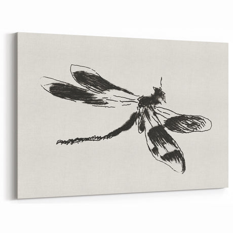 Grunge Insect Sketch Art Print - Abstract Dragonfly Canvas - Edgy Decor