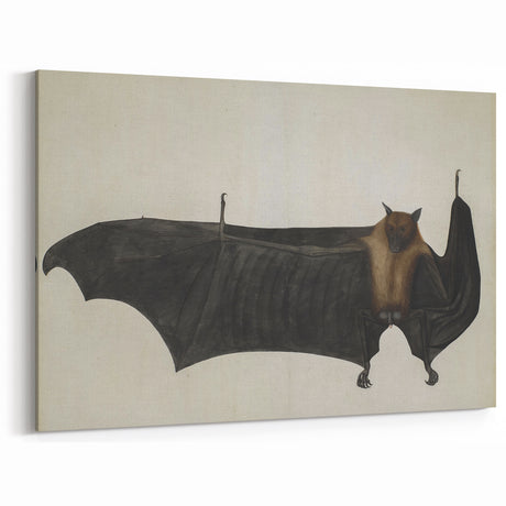 Urban Grunge Bat Illustration - Vintage Grunge Canvas Print Art