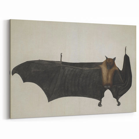 Urban Grunge Bat Illustration - Vintage Grunge Canvas Print Art