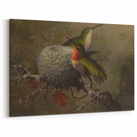 Vintage Grunge Hummingbirds - Urban Distressed Canvas Print Art