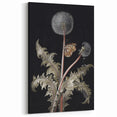 Moody Nature Art | Dark Floral and Butterfly Prints for Elegant Spaces