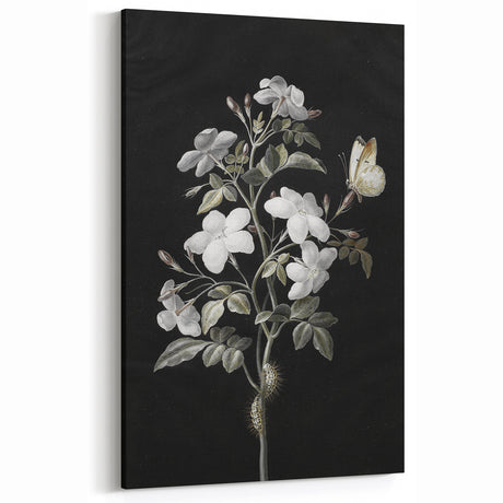 Dark Moody Wall Art - Floral Elegance with Butterfly for Dramatic Spaces
