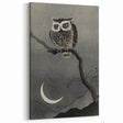 Dark Moody Wall Art - Night Owl and Crescent Moon for Dramatic Spaces