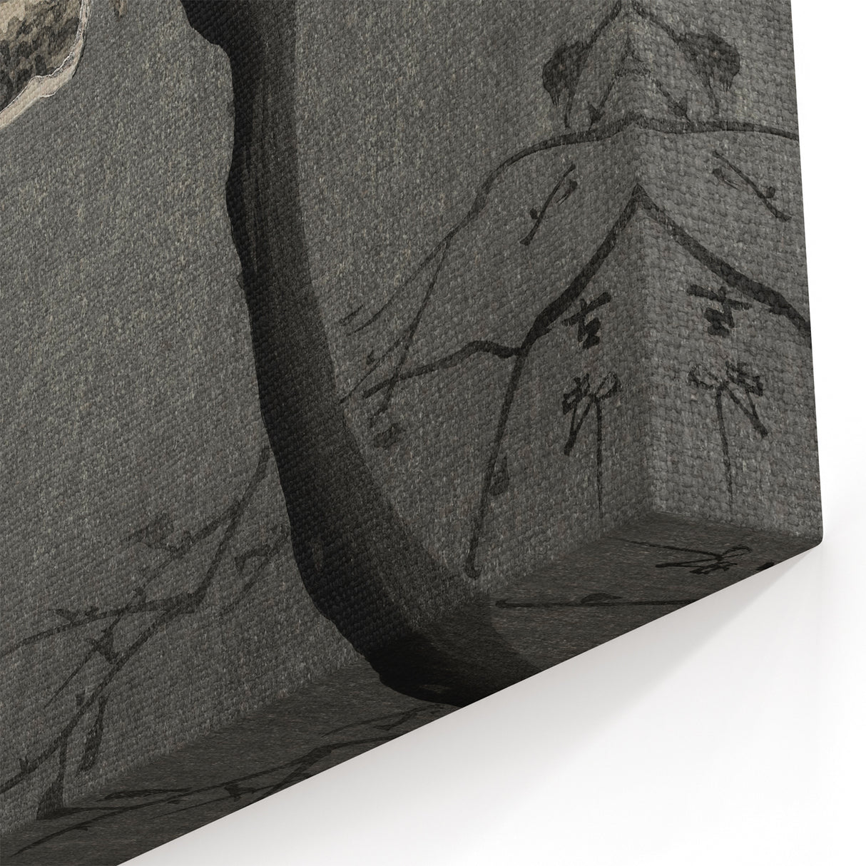 Dark Moody Wall Art - Night Owl and Crescent Moon for Dramatic Spaces