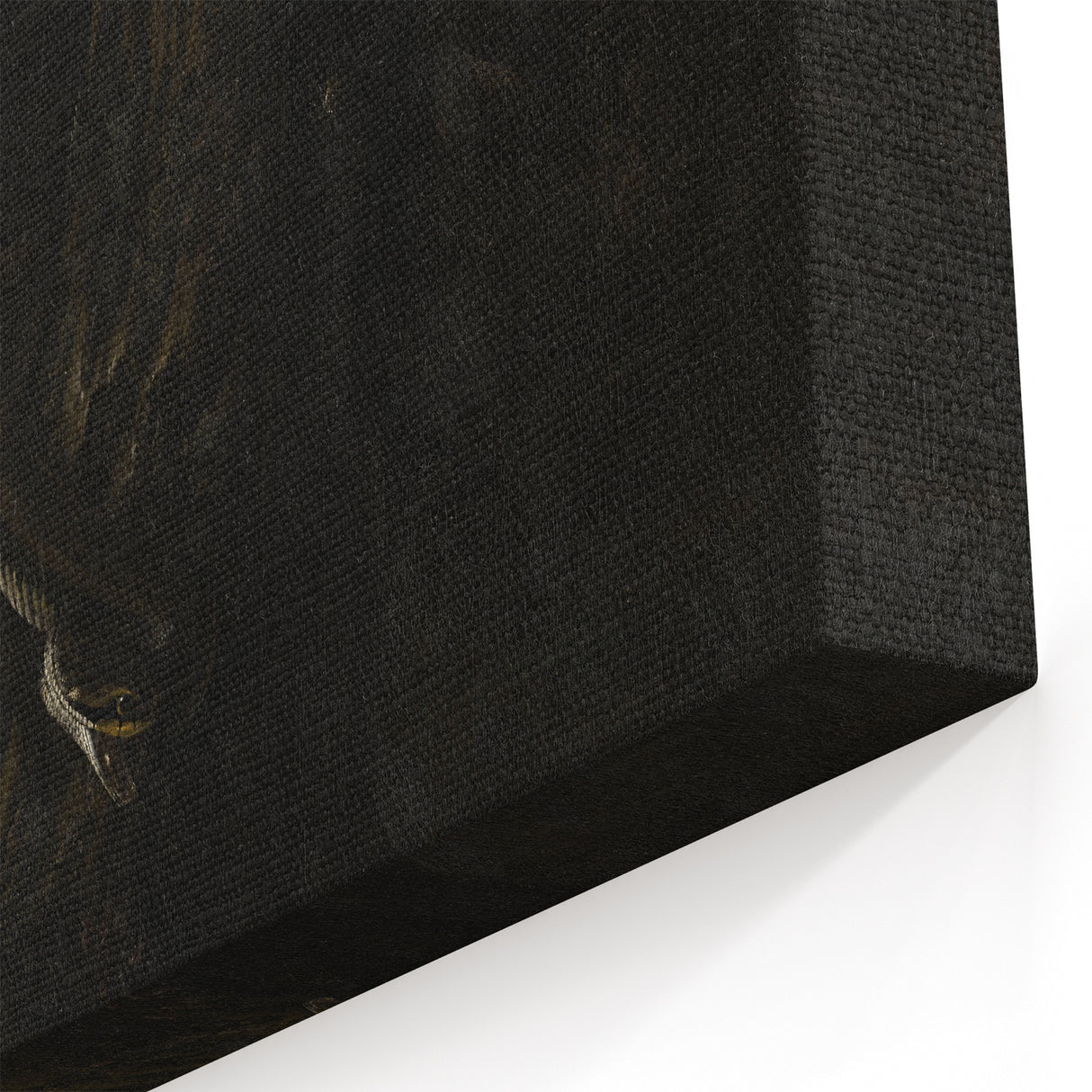 Dark Moody Wall Art with Snakes and Moths | Dramatic Moody Art Prints