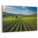 Lush Napa Valley Vineyards – Scenic California Wine Country Wall Art