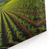 Lush Napa Valley Vineyards – Scenic California Wine Country Wall Art