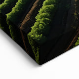 Lush Napa Valley Vineyards – Scenic California Wine Country Wall Art