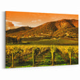 Scenic Napa Valley Vineyards – California Wine Country Landscape Art