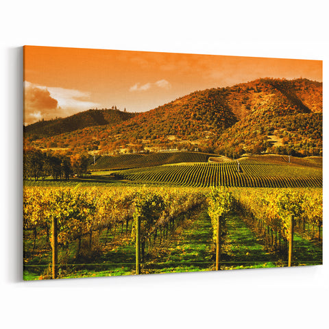 Scenic Napa Valley Vineyards – California Wine Country Landscape Art