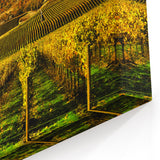 Scenic Napa Valley Vineyards – California Wine Country Landscape Art