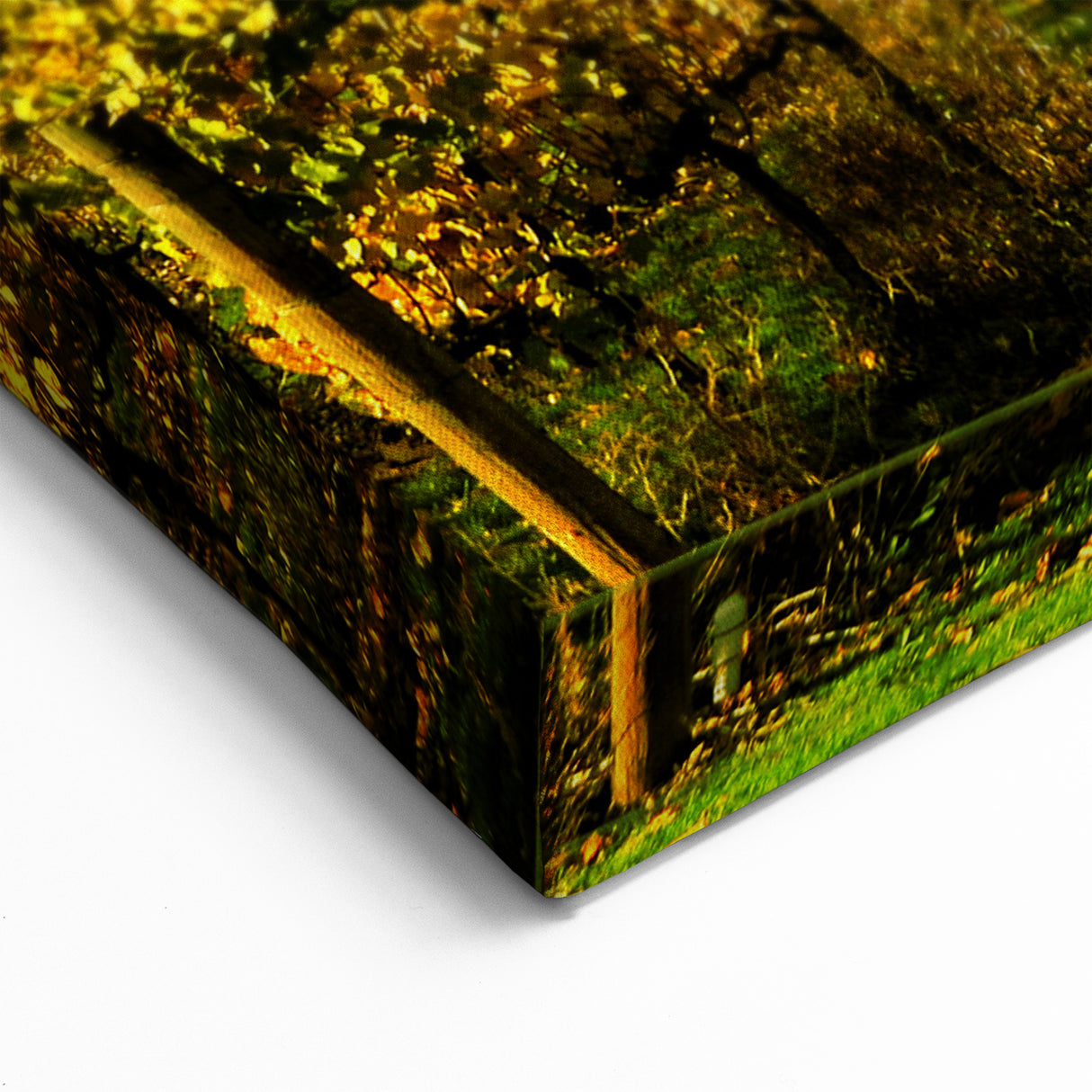 Scenic Napa Valley Vineyards – California Wine Country Landscape Art