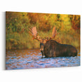 New Hampshire Nature Art – Moose Wildlife Photography Canvas and Prints
