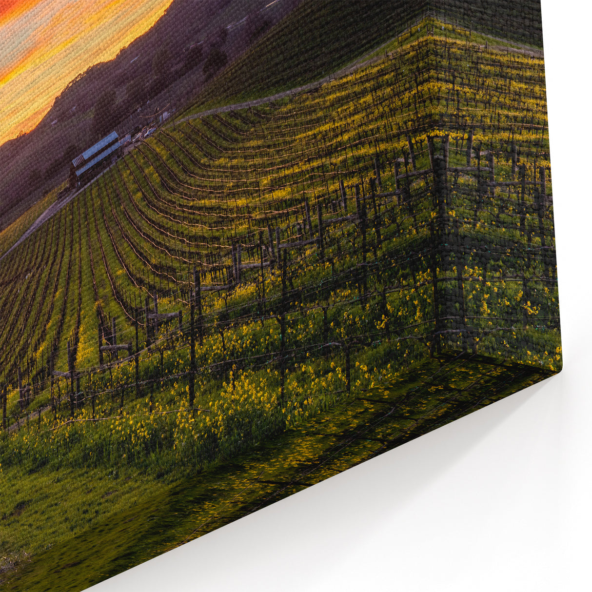 Napa Valley Vineyard Sunset – California Wine Country Scenic Wall Art