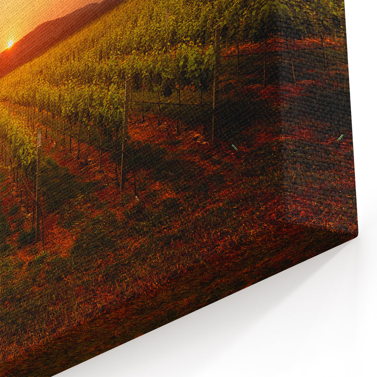 Sunset Over Napa Valley Vineyards – California Wine Country Wall Art