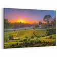 Sunset Over Napa Valley Vineyards – Scenic Wine Country Wall Art