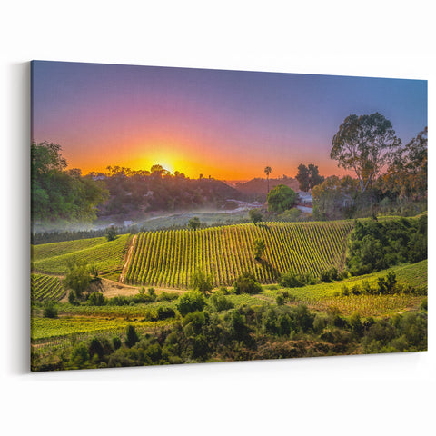 Sunset Over Napa Valley Vineyards – Scenic Wine Country Wall Art