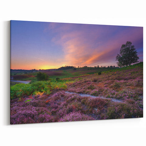 New Hampshire Nature Art – Sunset Meadows Scenic Canvas and Prints