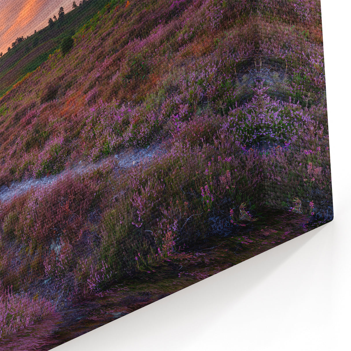 New Hampshire Nature Art – Sunset Meadows Scenic Canvas and Prints