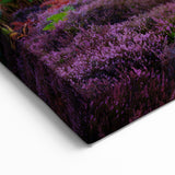 New Hampshire Nature Art – Sunset Meadows Scenic Canvas and Prints