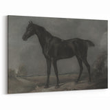 Moody Art Prints - Dark Horse Portrait for Timeless Wall Decor