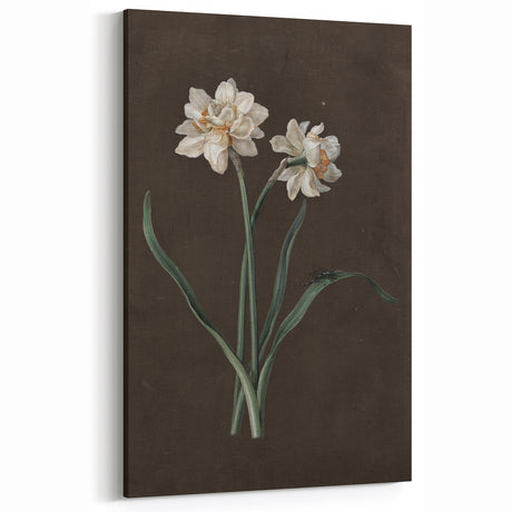 Moody Art Prints - Elegant Floral Still Life for Timeless Wall Decor
