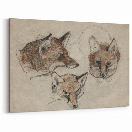Grunge Fox Sketches - Vintage Grunge Aesthetic Canvas Print Art