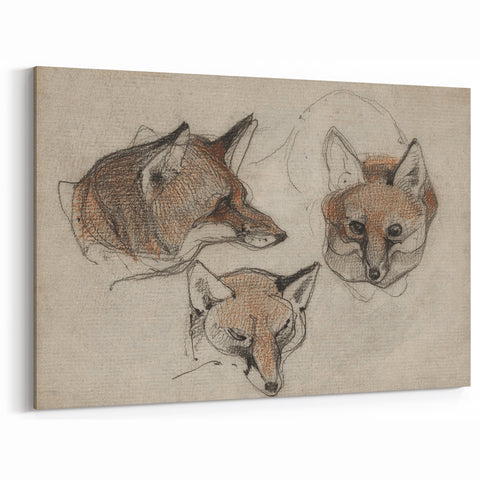 Grunge Fox Sketches - Vintage Grunge Aesthetic Canvas Print Art