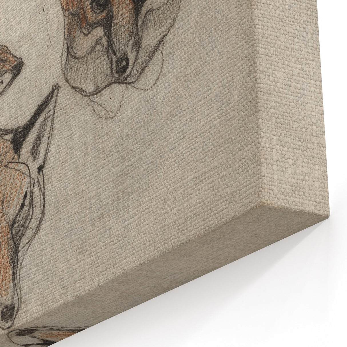 Grunge Fox Sketches - Vintage Grunge Aesthetic Canvas Print Art