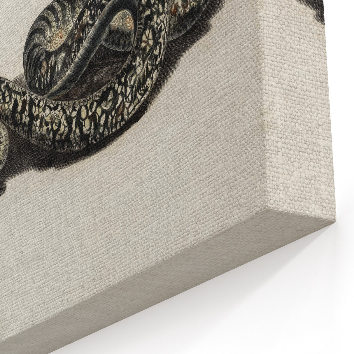 Grunge Snake and Butterfly - Vintage Grunge Aesthetic Canvas Print