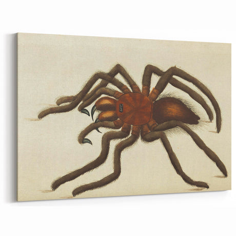 Grunge Spider Illustration - Vintage Grunge Aesthetic Canvas Print