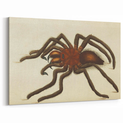 Grunge Spider Illustration - Vintage Grunge Aesthetic Canvas Print
