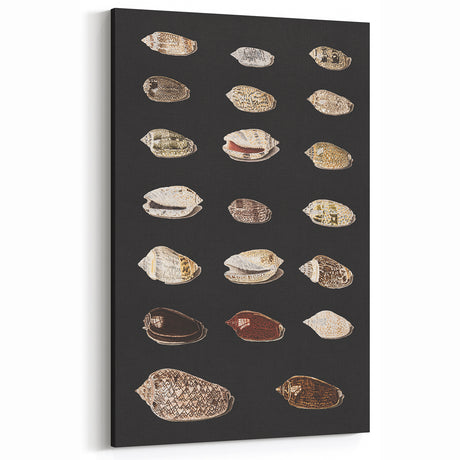 Vintage Grunge Art | Grunge Canvas Print | Urban Grunge Shell Art