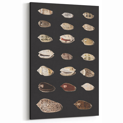 Vintage Grunge Art | Grunge Canvas Print | Urban Grunge Shell Art
